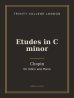 Rothenberg, Irv - Down, Down the Chimney