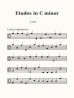 Mozart, Wolfgang Amadeus - Two Duos 
